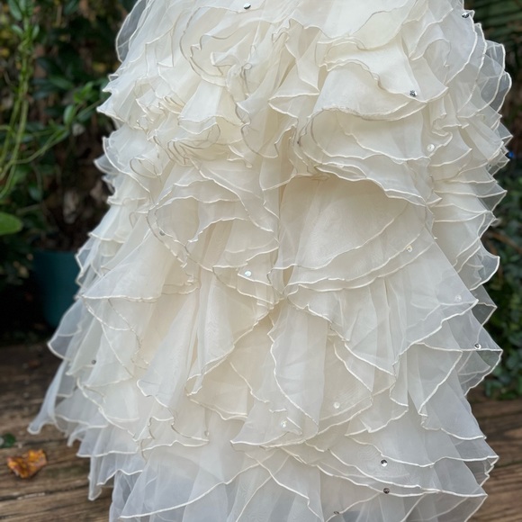 Wedding Gown - Picture 8 of 8